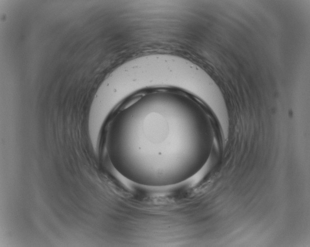 X0000070180223200606021040