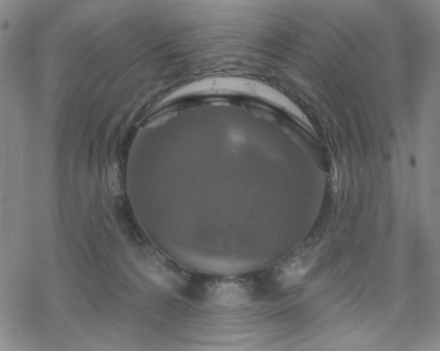 X0000070180224200606021040