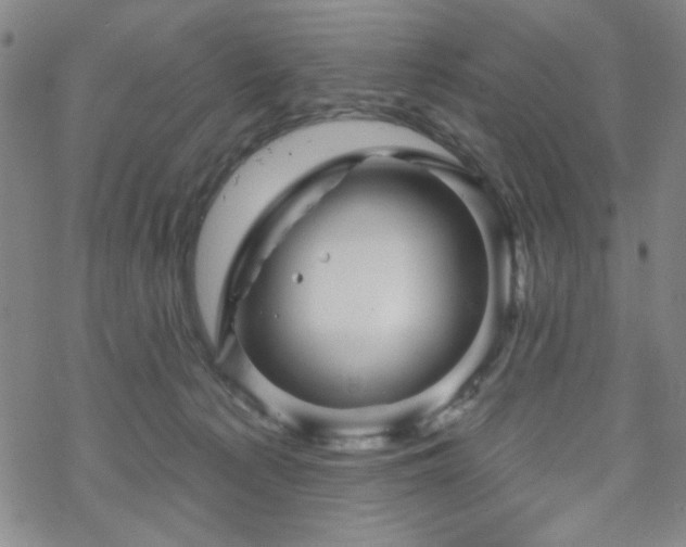 X0000070180225200606021040