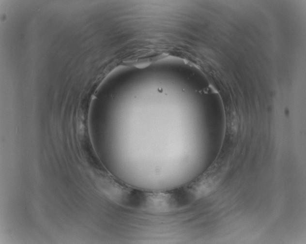 X0000070180226200606021040