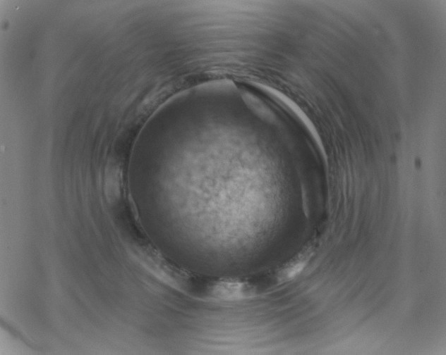 X0000070180227200606021040