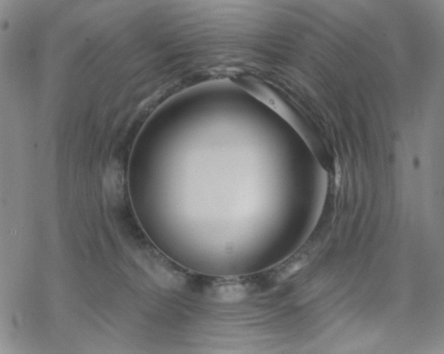 X0000070180228200606021040