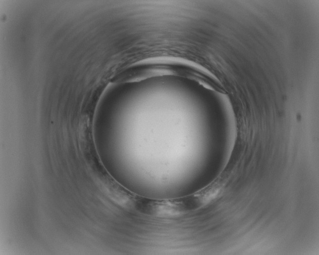 X0000070180229200606021040