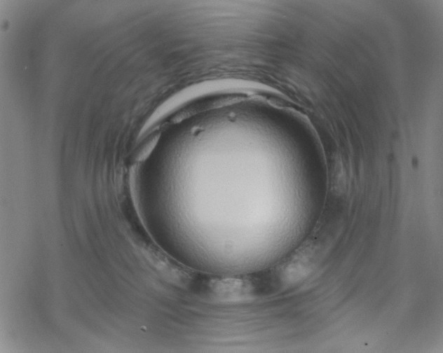 X0000070180230200606021040