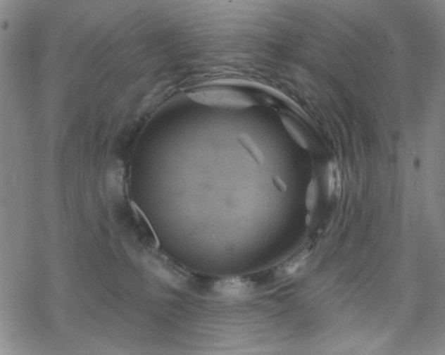 X0000070180231200606021040