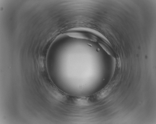 X0000070180232200606021040