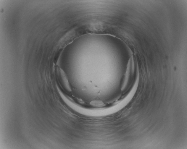 X0000070180233200606021040