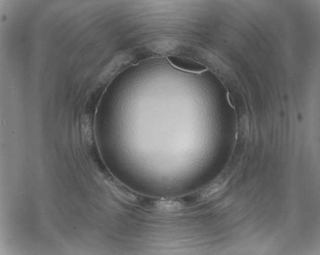 X0000070180234200606021040