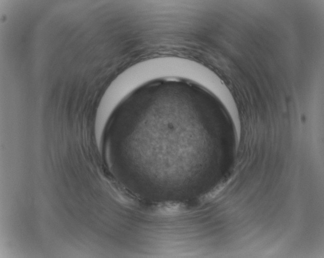 X0000070180235200606021040