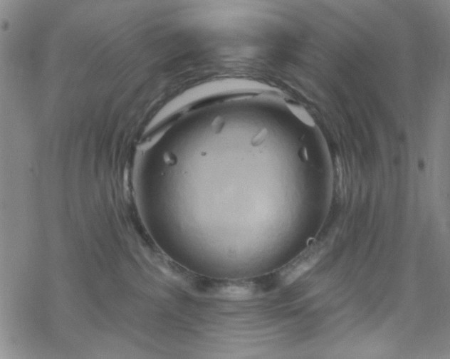 X0000070180236200606021040