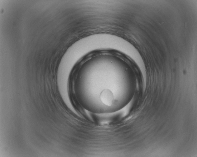 X0000070180237200606021040