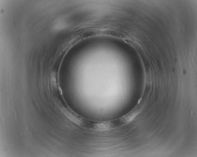 X0000070180238200606021040