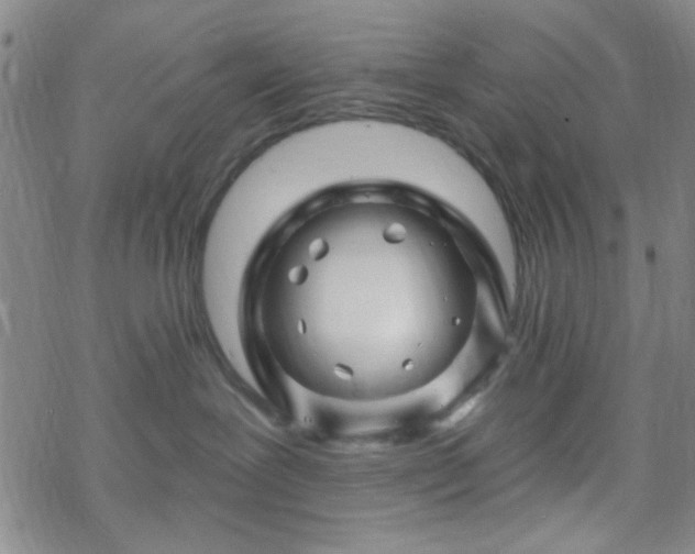 X0000070180239200606021040