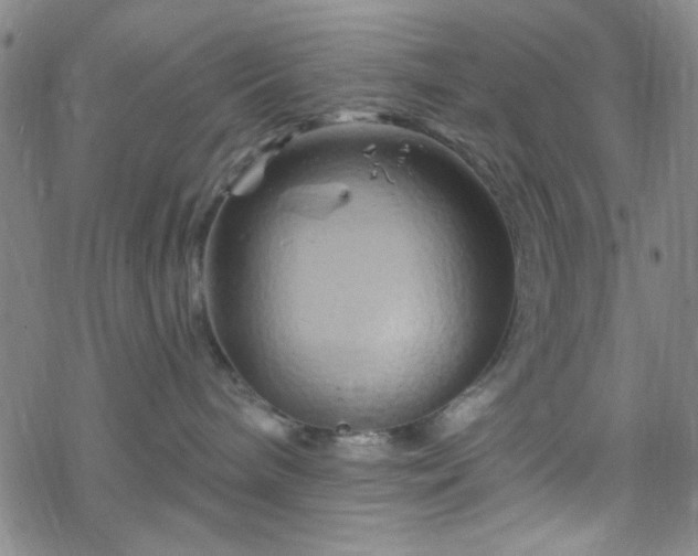 X0000070180240200606021040