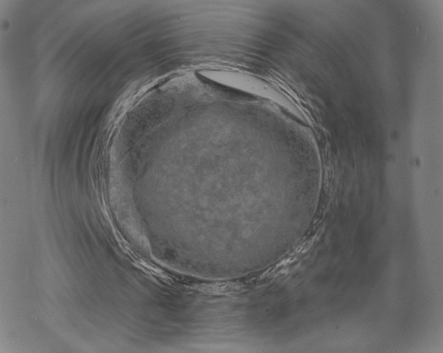 X0000070180241200606021039