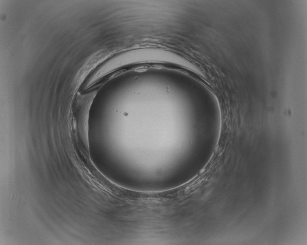 X0000070180242200606021039