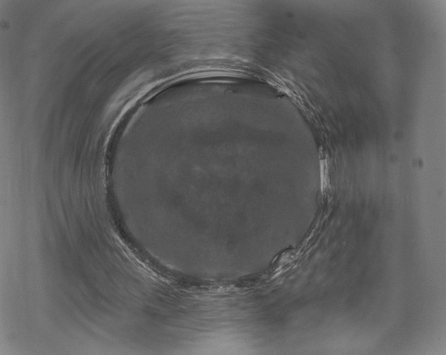 X0000070180243200606021039