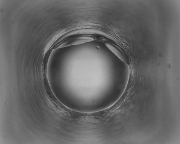 X0000070180244200606021039