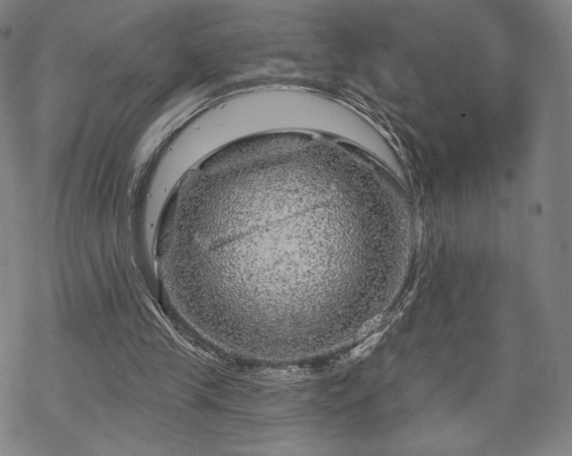 X0000070180245200606021039