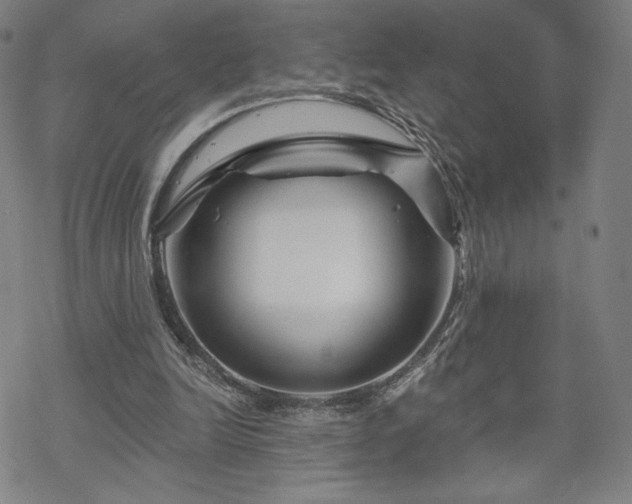 X0000070180246200606021039