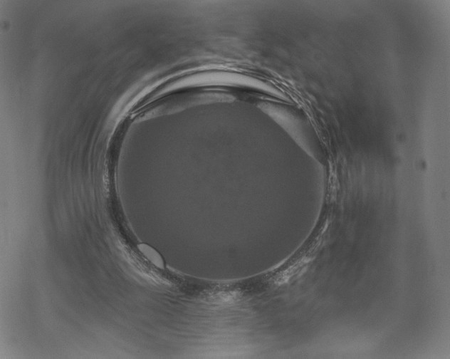 X0000070180247200606021039