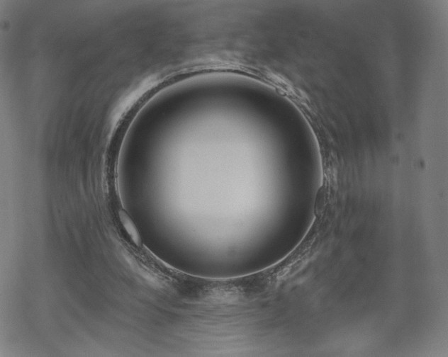 X0000070180248200606021039