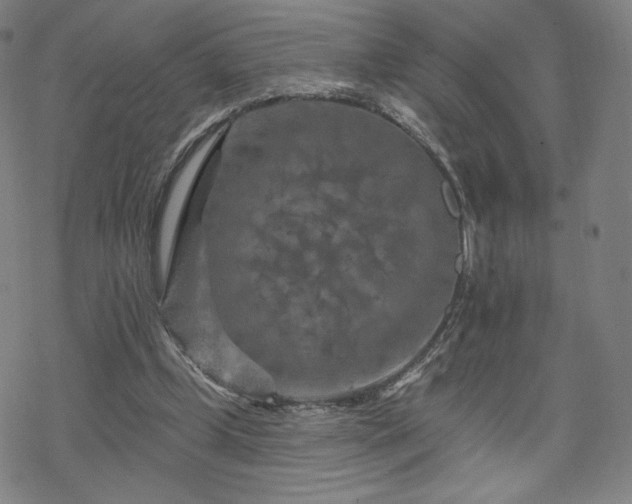 X0000070180249200606021039