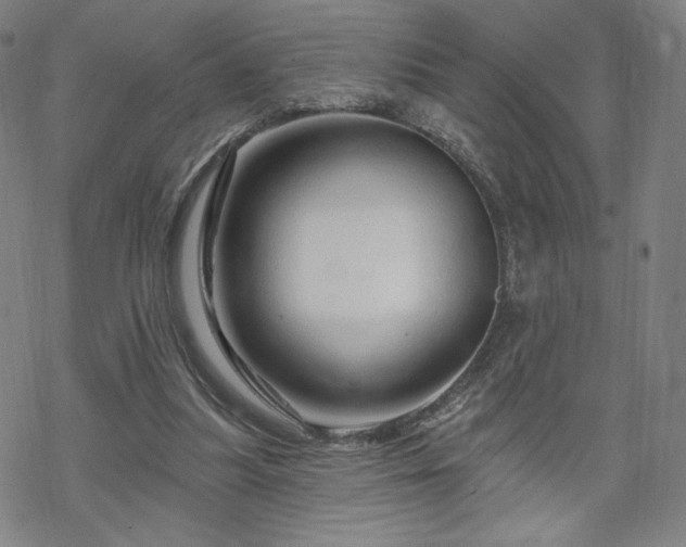 X0000070180251200606021039