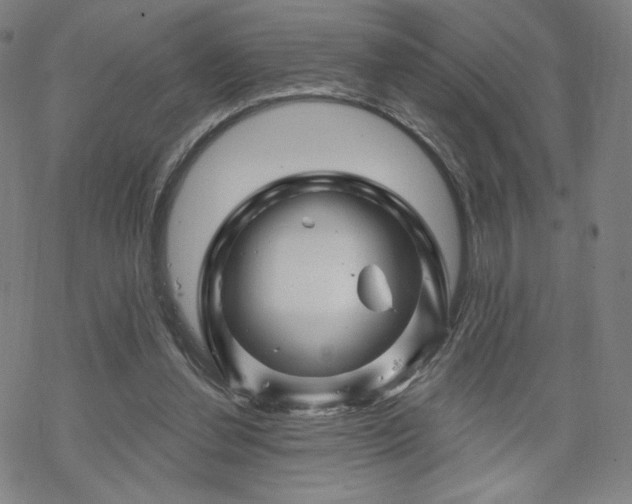 X0000070180252200606021039