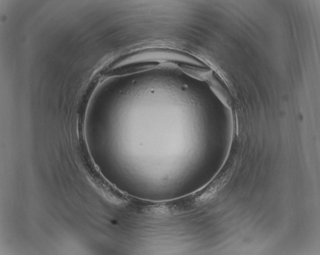 X0000070180253200606021039