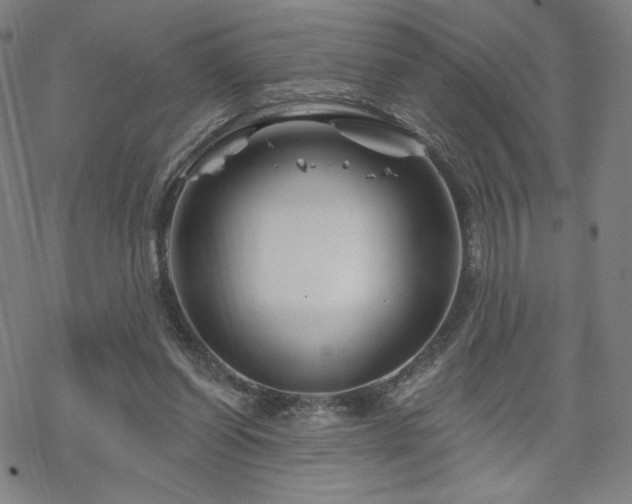 X0000070180254200606021039