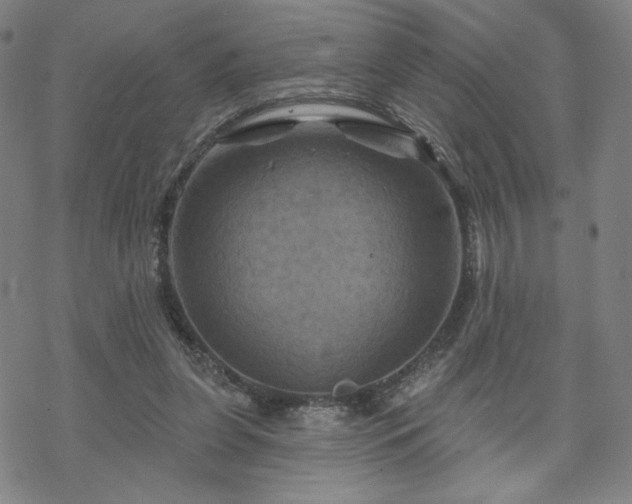 X0000070180255200606021039