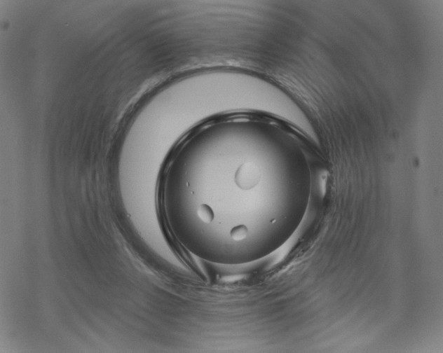 X0000070180256200606021039