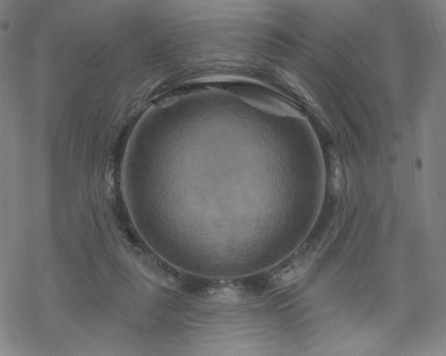 X0000070180259200606021039