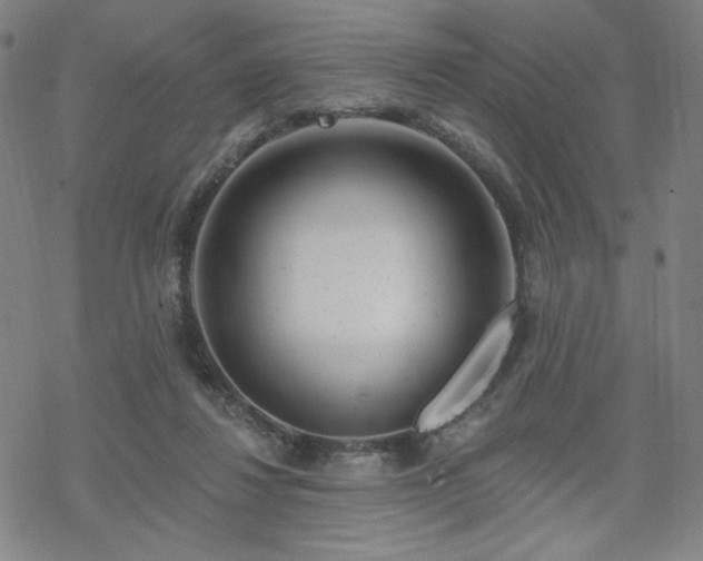 X0000070180260200606021040