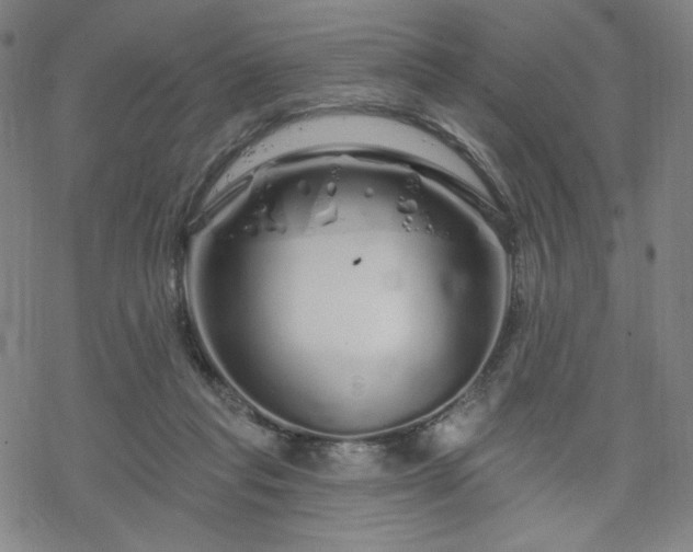 X0000070180261200606021040