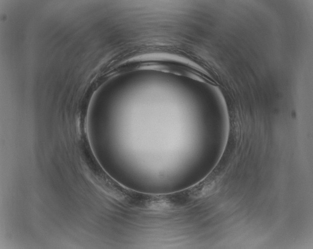 X0000070180262200606021040