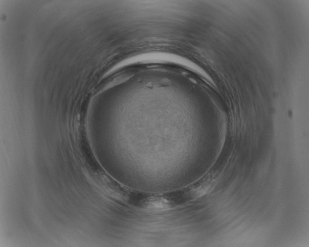 X0000070180263200606021040