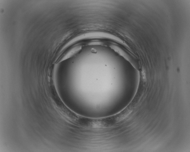 X0000070180264200606021040