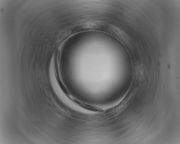 X0000070180265200606021040