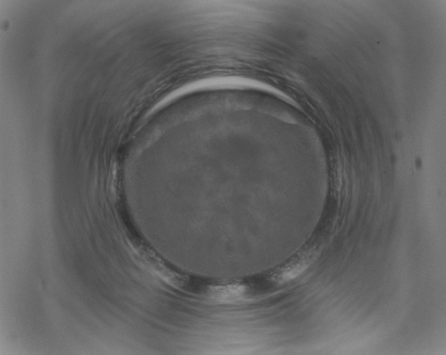 X0000070180266200606021040