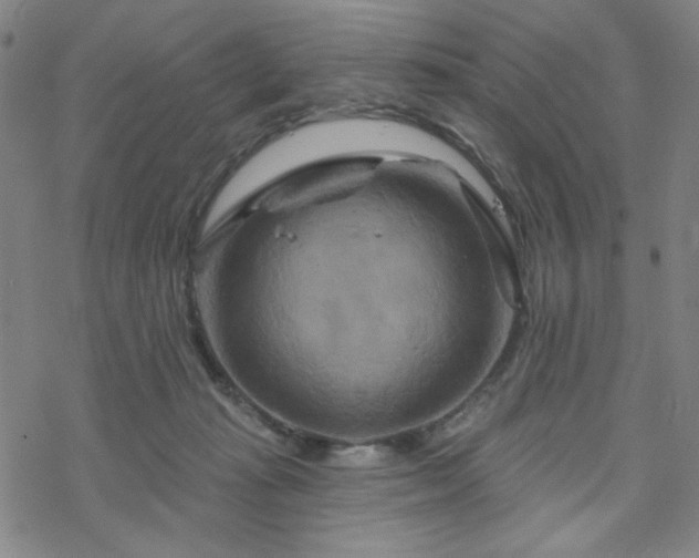 X0000070180269200606021040