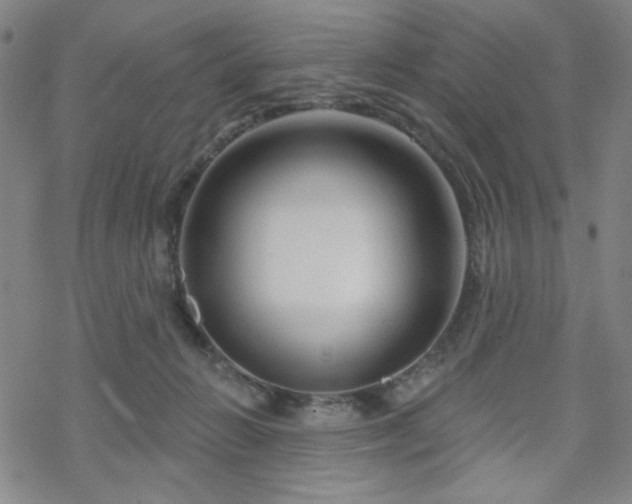 X0000070180270200606021040