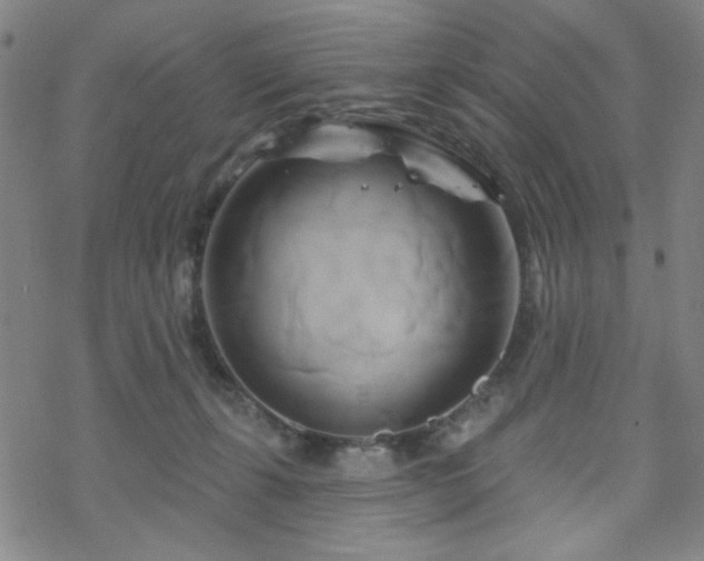 X0000070180271200606021040