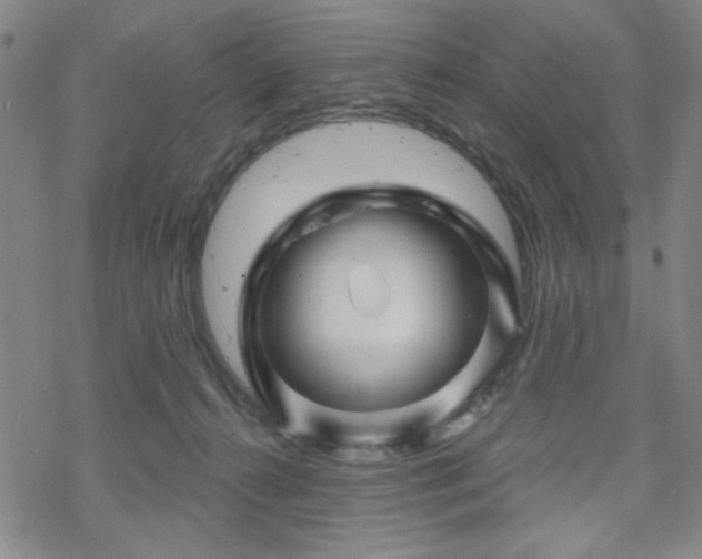 X0000070180272200606021040