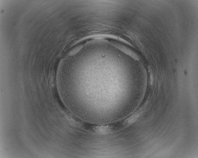 X0000070180273200606021040