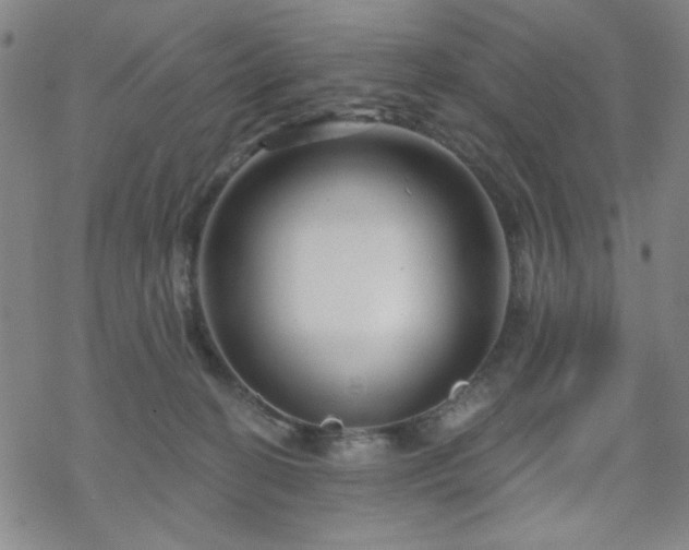 X0000070180274200606021040