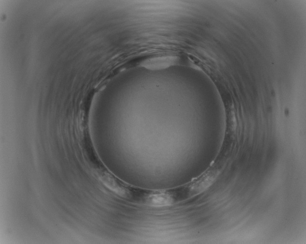 X0000070180275200606021040