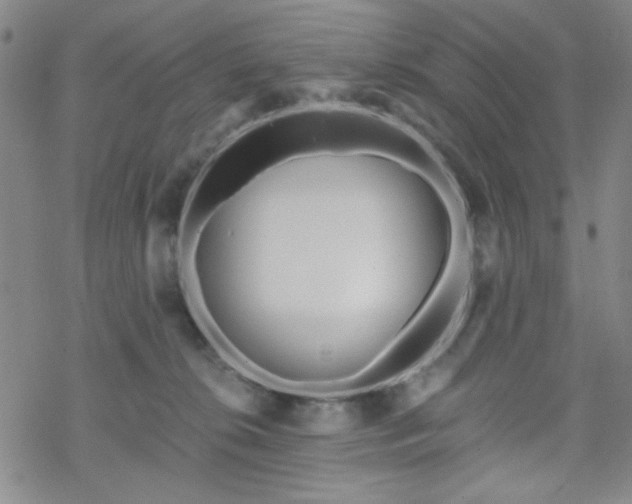 X0000070180276200606021040