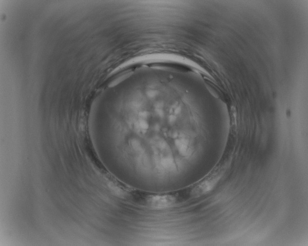 X0000070180277200606021040